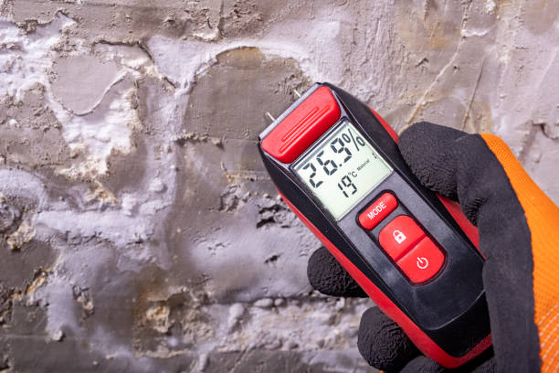 Best Mold Cleaning Services  in Altamont, OR