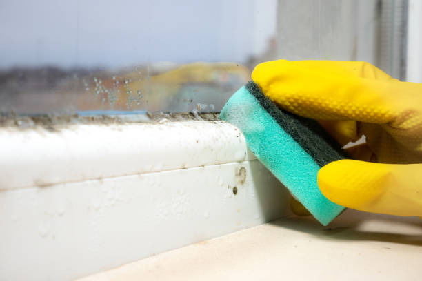 Best Local Mold Removal Service  in Altamont, OR
