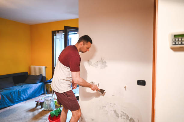 Best Mold Remediation  in Altamont, OR